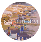 Beds by the Beach Dorset